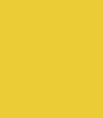 4033-yellow